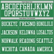 CUSTOM GRASS GREEN WHITE MESH AUTHENTIC FOOTBALL JERSEY - Image 3